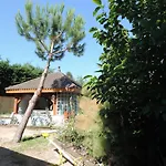 Chez Papy Et Mamy 住宿加早餐酒店
