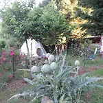 Chez Papy Et Mamy 3*